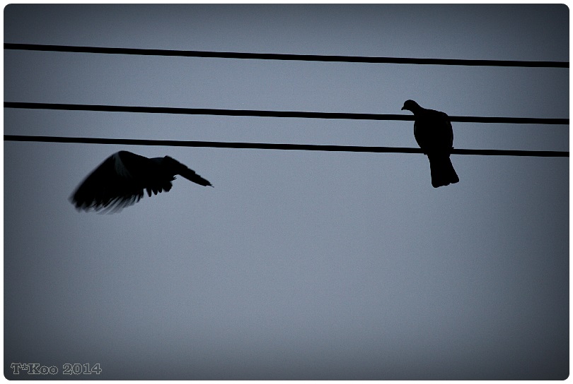 Henkilötason neobrändäämistä ja&nbsp;kukkotappelua