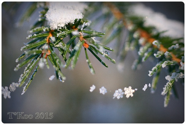 Positiivisuuden ketjulla kilpailukykyä&nbsp;lisää