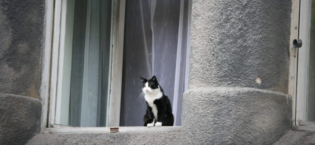 Introvertti ei tylsisty&nbsp;koskaan