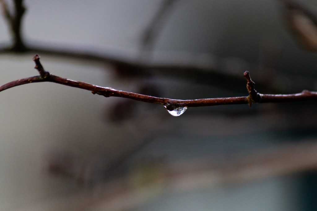 Perhanan ryhmätyöt