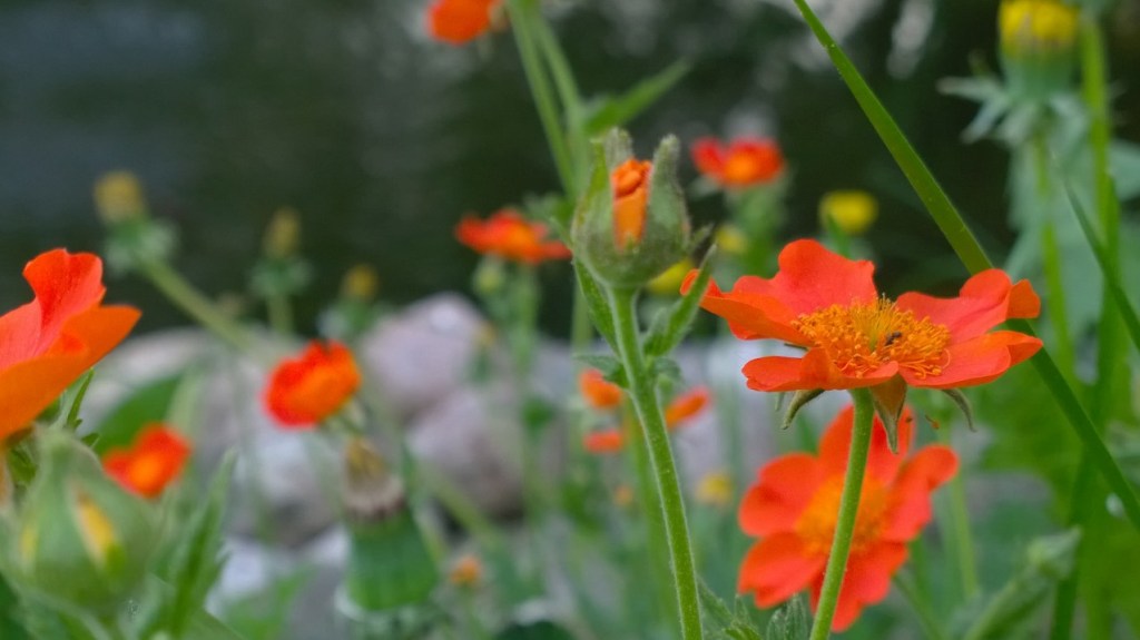 Kurkistus opintojen tilanteeseen